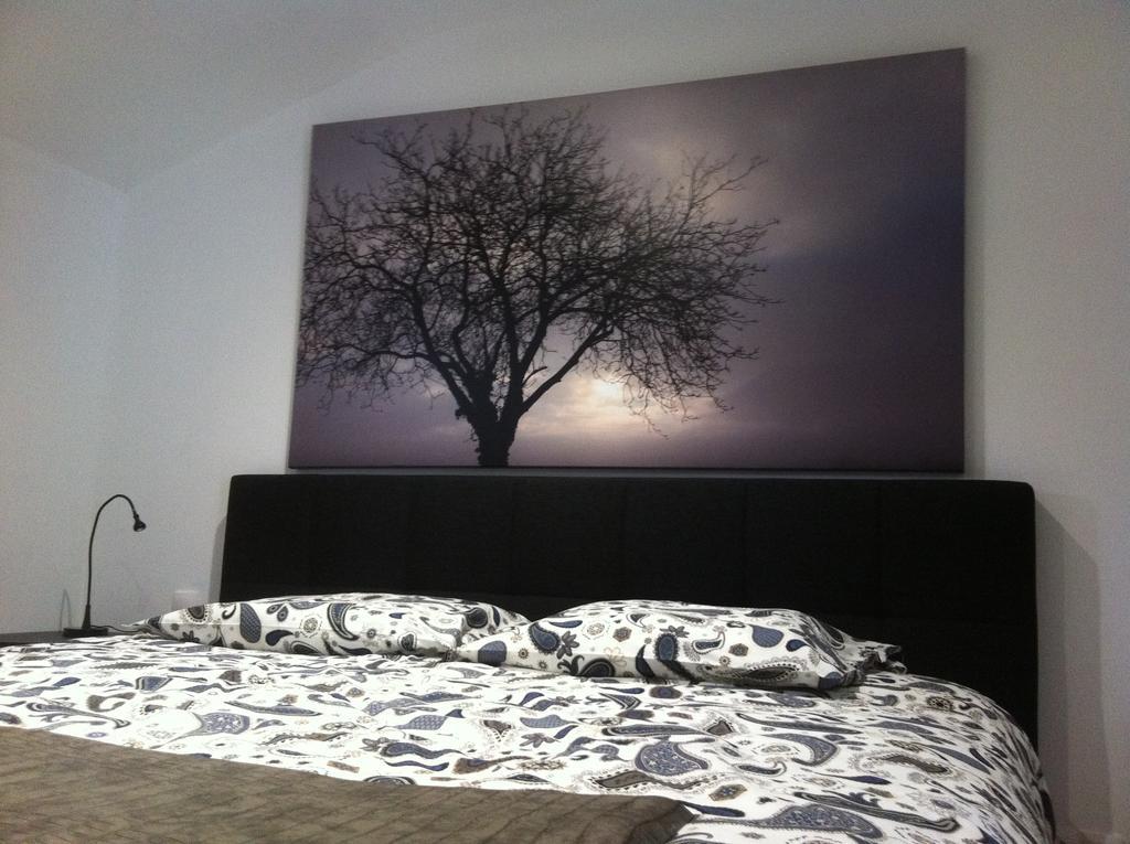 Agrita Home Wittisheim エクステリア 写真